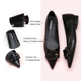 C Buckle Pointed Toe Flats (Aida)